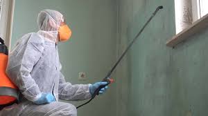 Mold Removal Services